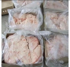 Halal Lamb tail fat for Sale USA