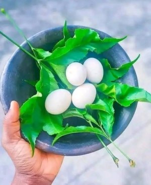 Rituels d'amour puissant avec photo