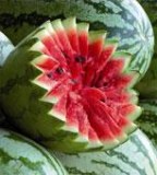 Vente Pastéque Frais