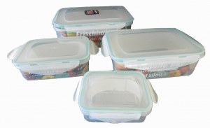 LOT DE BOITES HERMETIQUES PLASTIQUE ALIMENTAIRE SANS BPA
