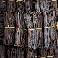 Vanille Madagascar Déstockage : prix bas