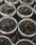 Moroccan Beauty Products