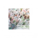 LOT DE 10 MINI PLANTES