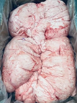 Frozen Lamb/Sheep Meat Tail Fat Halal for Export with Top Quality