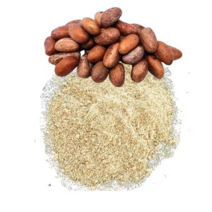 Petit cola séché (Garcinia kola)