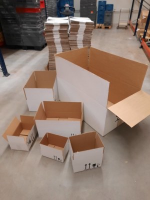 Cartons américains Blanche