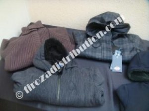 Parkas Femme Dickies.