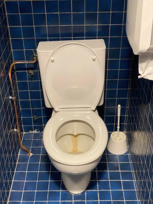 Vasques et WC d’occasion