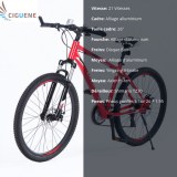 Vélo neufs en gros et en détail (à partir 120 euros par vélo pour lot minimal de 10 unités)