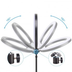 LAMPE À BAGUE COSMÉTIQUE MAQUILLAGE 80W 2,2M + TÉLÉCOMMANDE RL-16