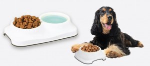 Double gamelle pour animal domestique - 0,8 L- PRODUIT DE QUALITE