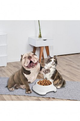 Gamelle pour animal domestique - 2 L- PRODUIT DE QUALITE