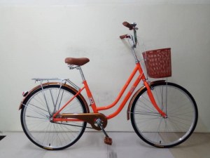 City Bike