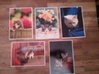 Lot de 10.000 cartes postales