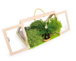 Serre "Pyramide" avec 6 Coupelles en Argile