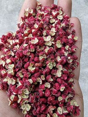 4. Producteur & Exportateur Poivre de Sichuan IGP Rouge et Vert ​