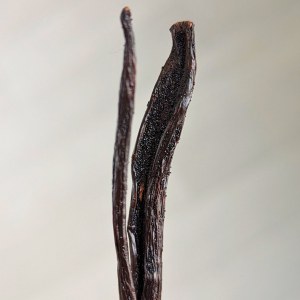 Vanille Madagascar Déstockage : prix bas