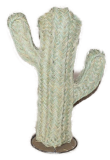 Cactus en paille