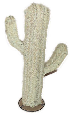 Cactus en paille