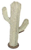 Cactus en paille