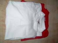 LOTS POLOS FRUITS OF THE LOOMS ET STEDMAN