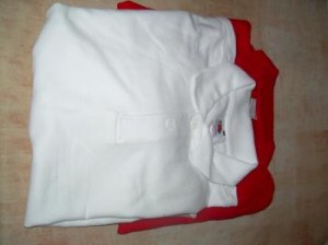 LOTS POLOS FRUITS OF THE LOOMS ET STEDMAN