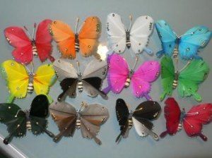 Papillons pour décoration