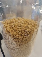 ​[PRODUIT RÉGULIER] Protéines Végétales Texturées & Crisps B2B – Export Monde
