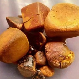 Ox Gallstones Cattle Gallstones Cow Gallstones