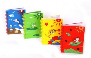 Lot de 4 Carnets