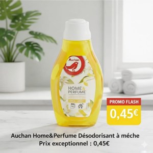 Désodorisants d’intérieur à mèche