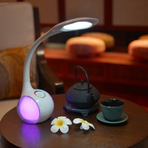 Lampe de bureau LED LAMPE DE NUIT 256 COULEURS RGB T002