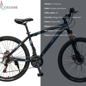 Vélo neufs en gros et en détail (à partir 120 euros par vélo pour lot minimal de 10 unités)
