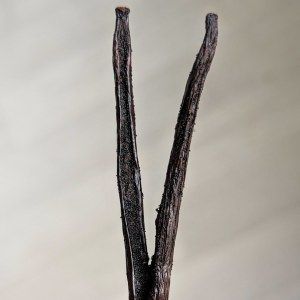 Vanille Madagascar Déstockage : prix bas