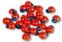 Lot de 288 Coccinelles à Coller