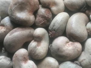 Amandes de cajou et noix de cajou crues séchées