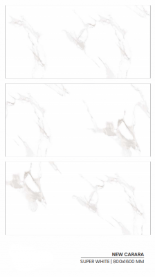 Carrelage 80x160 - Mat et Brillant - New Carara