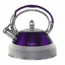 Bouilloire professionnelle sifflante - violet - schumann