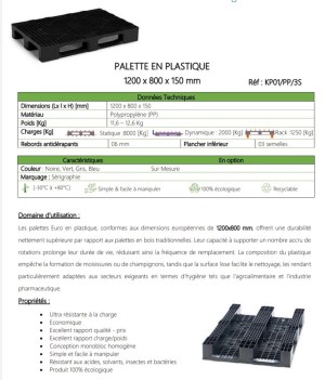 Palette en plastique