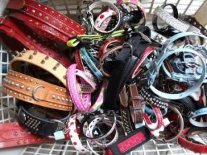 URGENT destockage lot chiens et chats