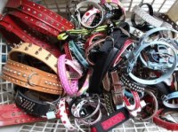 URGENT destockage lot chiens et chats