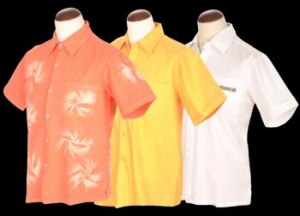 Chemises Homme Coton