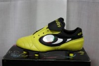 Crampon pantofola d'oro