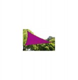 Voile d'ombrage triangulaire - violet - toile solaire 5 x 5 x 5 m