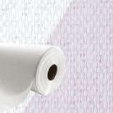 1 RLX 50M FIBRE DE VERRE +10KG COLLE