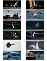 Lot Cartes postales artistiques