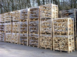 Offre de Bois de chauffage bien dur