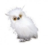 Chouette des neiges «Nora»