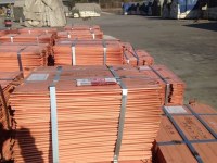 Copper Cathode wholesale