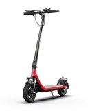 Trottinette électrique Hikerboy CURTIS 350w 10.4Ah